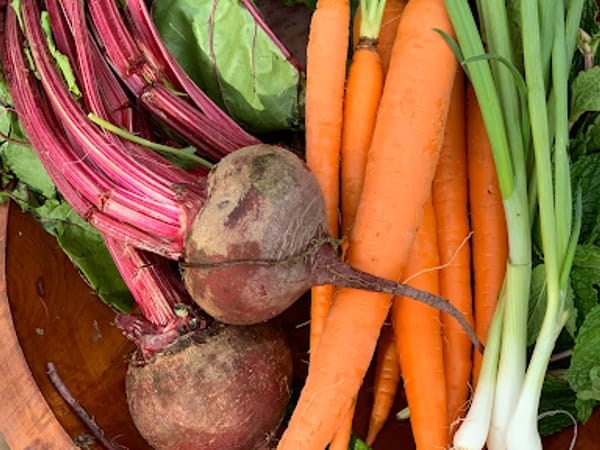 Connecticut Lifestyle Medicine