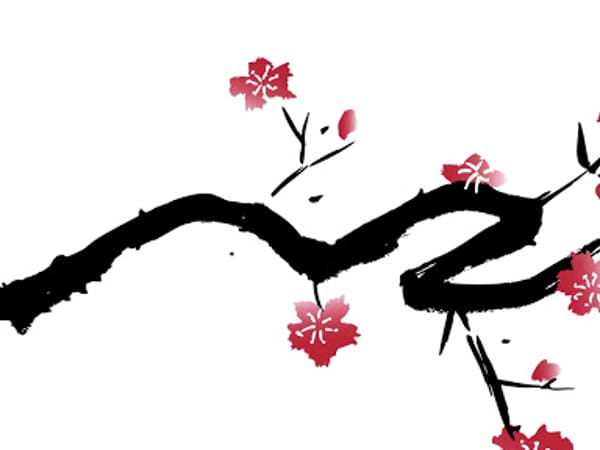 KayaKalp Acupuncture, LLC