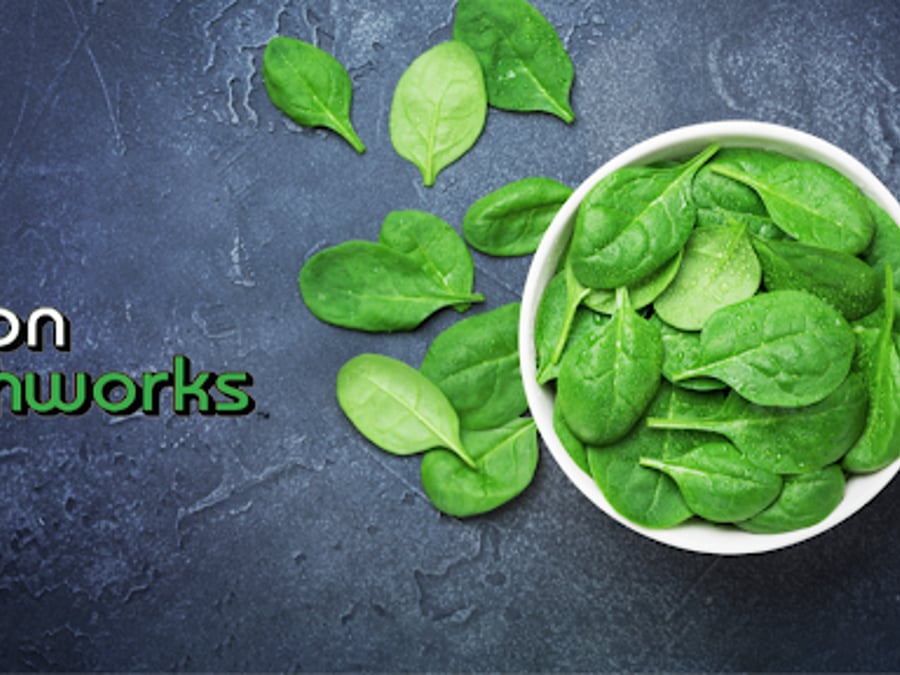 Nutrition HealthWorks