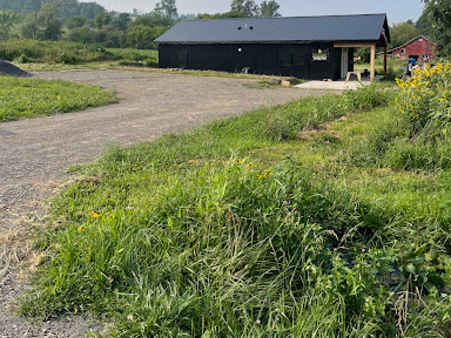 Sunflower Natural Wellness Center