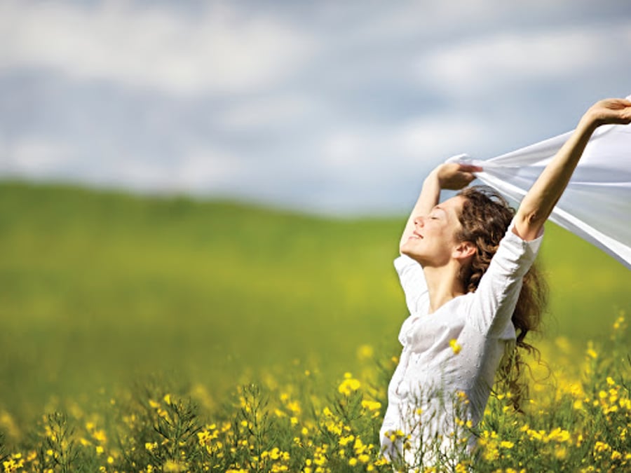 Holistic Solutions by Vera LLC