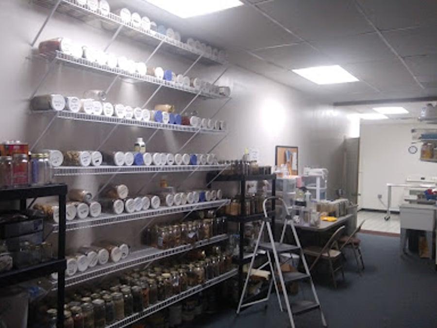 Natural Health & Wellness Center