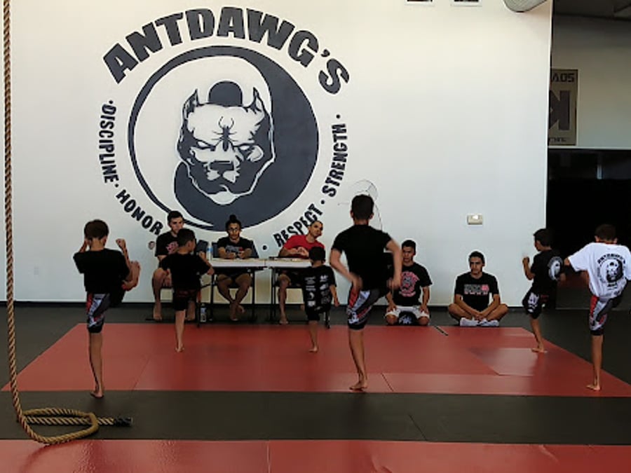 AntDawg's MMA Training Center