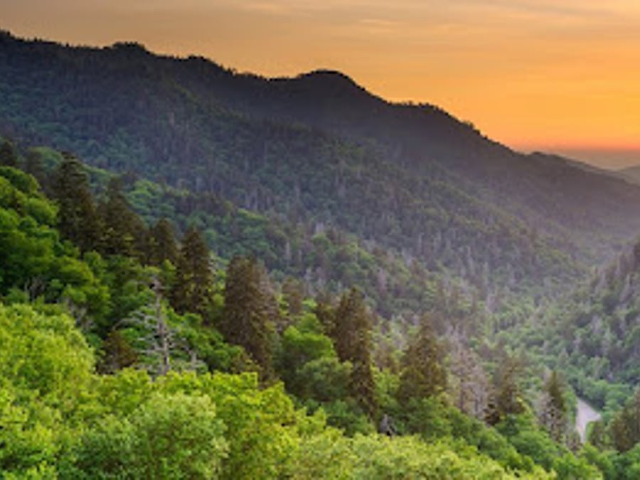 The Center for Internal and Integrative Medicine