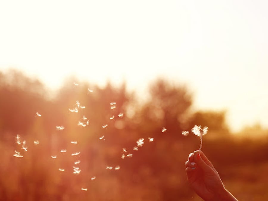 Zuza's Way Integrative Care