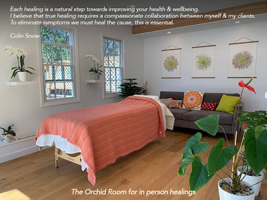 Minneapolis Energy Healing ~ VortexHealing® Holistic Healing with Colin Snow