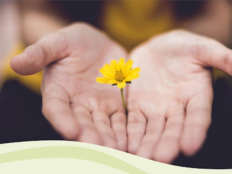 Integrative Behavioral Health & Medicine