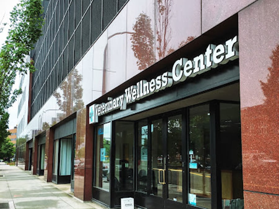 Veterinary Wellness Center of New Haven