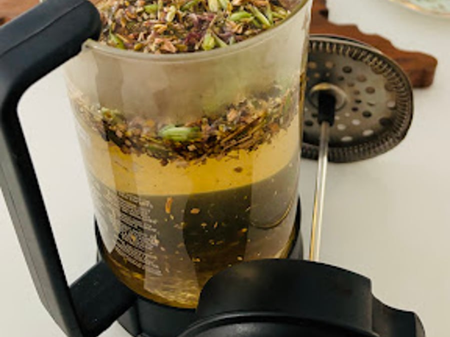 Botanically Curious