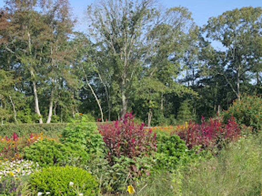 Center for Holistic Health and Education