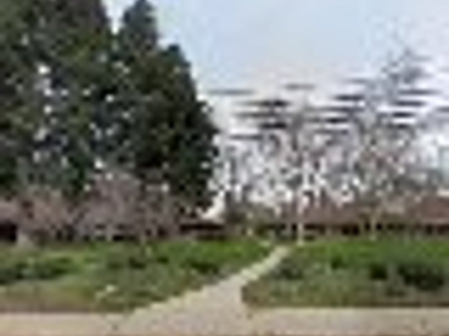 Healing Center - Chico