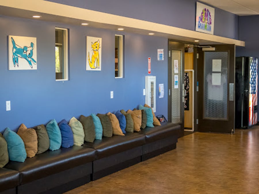 The Wellness Center