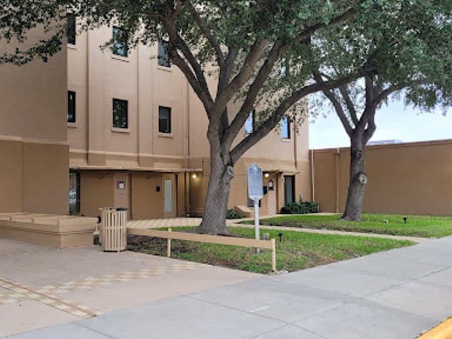 Fig Tree Behavioral Wellness