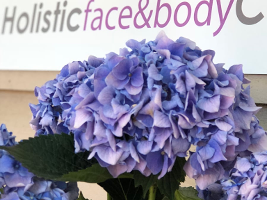 Holistic Face & Body Care