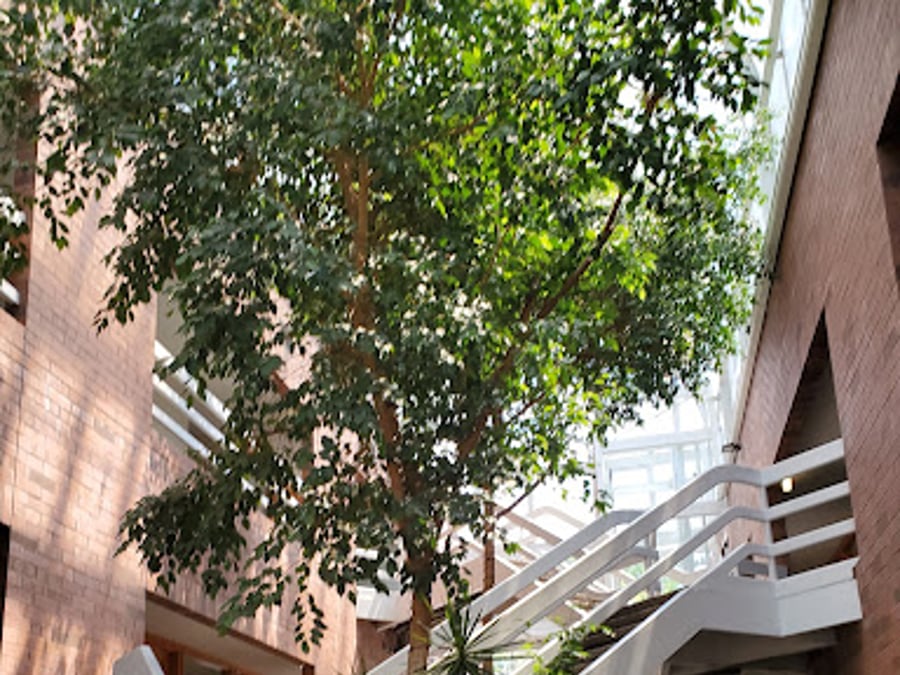Trilogy Medical Center