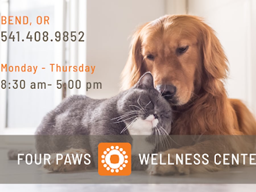 Four Paws Wellness Center