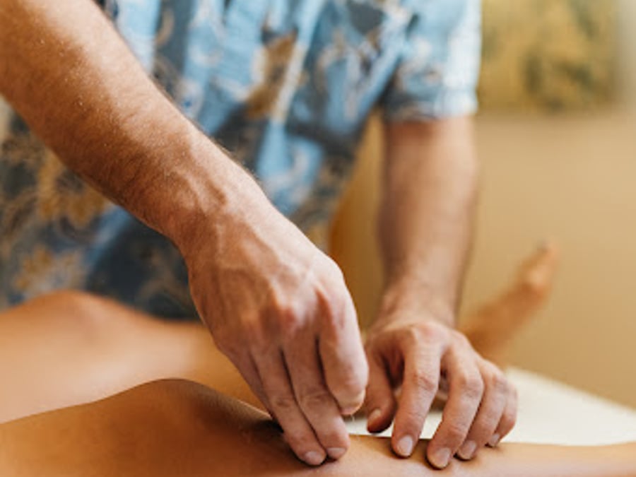 Oahu Holistic Medicine - Orthopedic Acupuncture, Martial Arts and Feng Shui