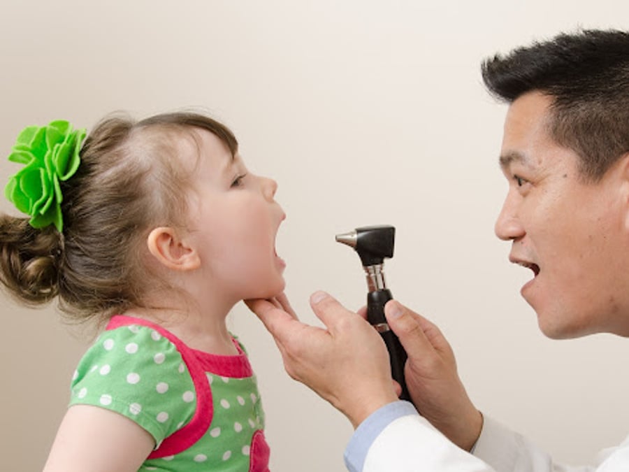 Palmetto Proactive Healthcare