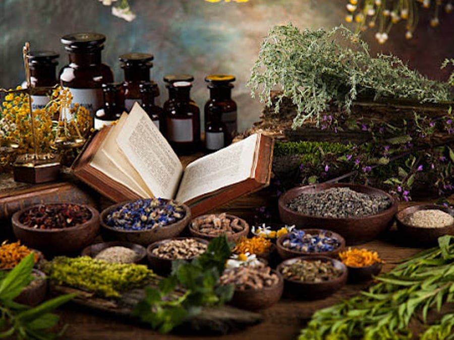 1 with Nature Therapies