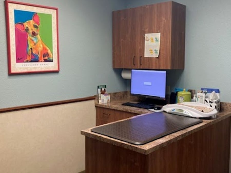 Pet Wellness Clinic LLC
