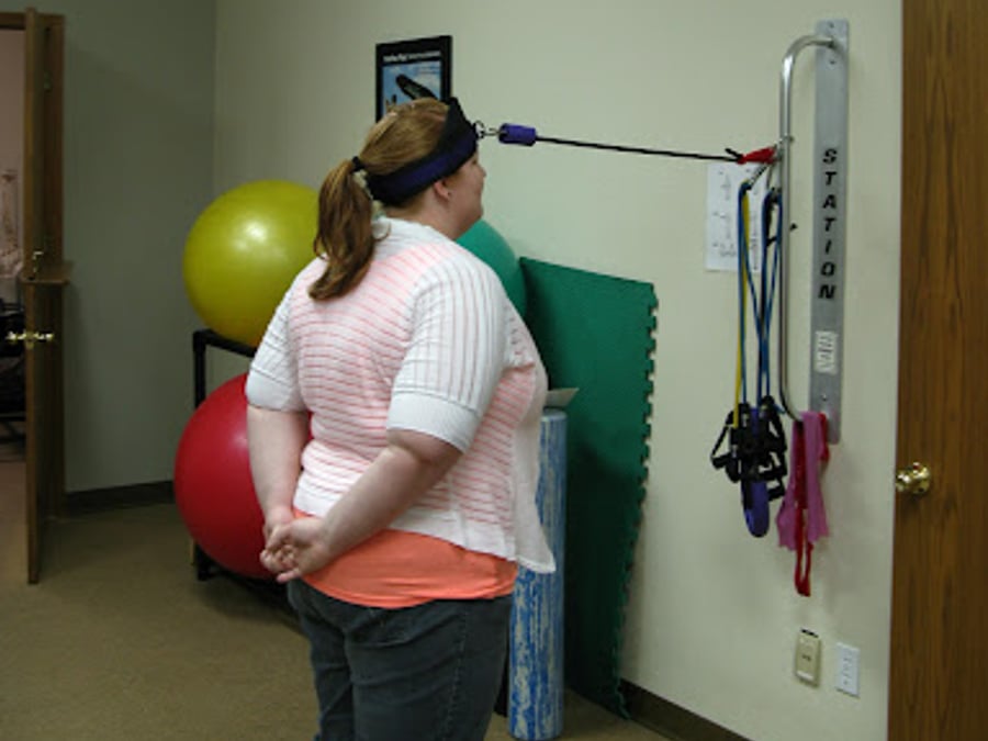 Wellness Professionals, Inc.