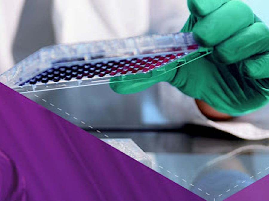 Meridian Valley Lab