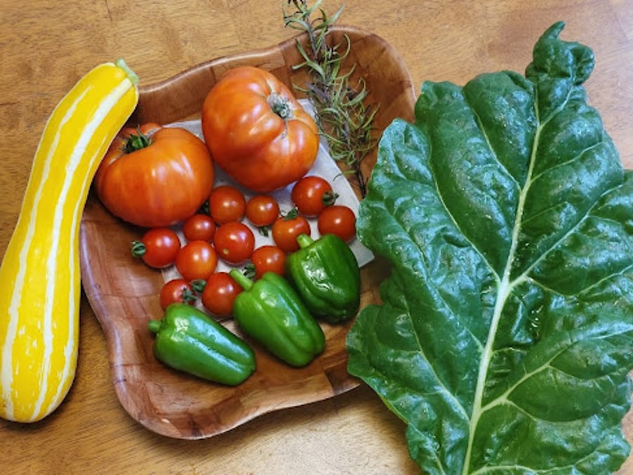 My Fit Weight Nutrition Coaching