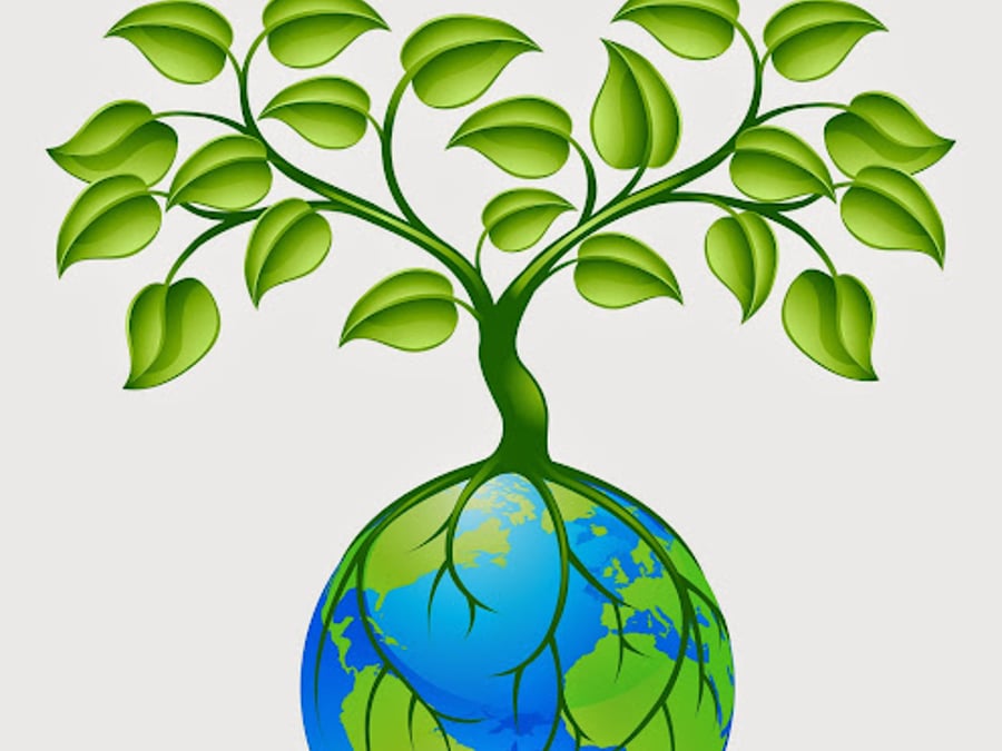 Center for Functional Medicine