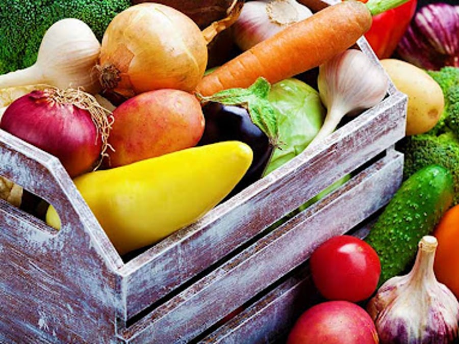 Vivo Integrative Medicine of Kansas City