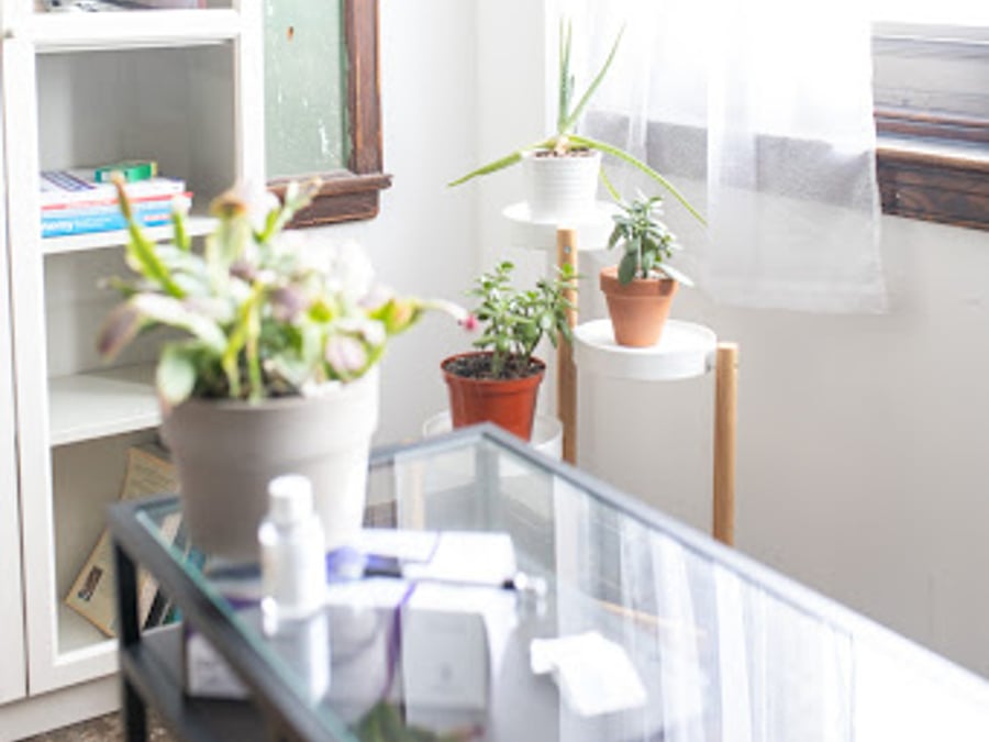Seed Integrative Medicine