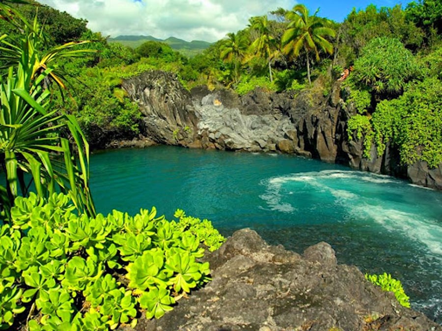 Manakai O Malama