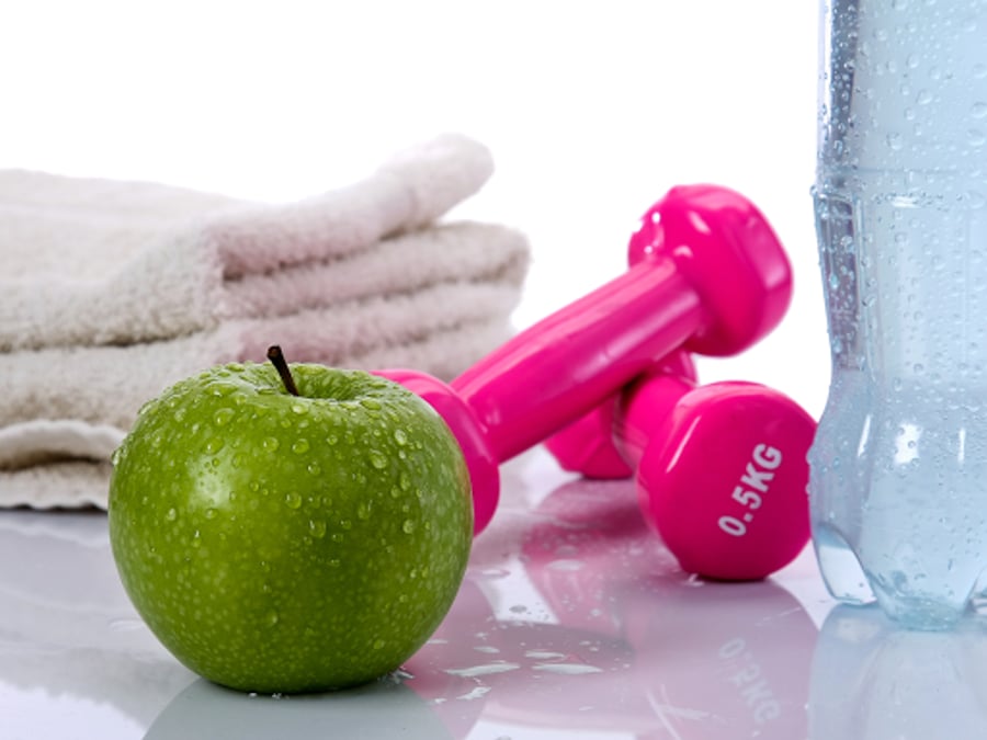 Mediplan Diet Services LLC