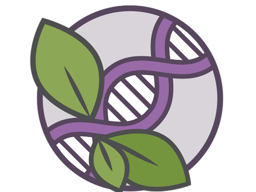 Integrative Health Specialists