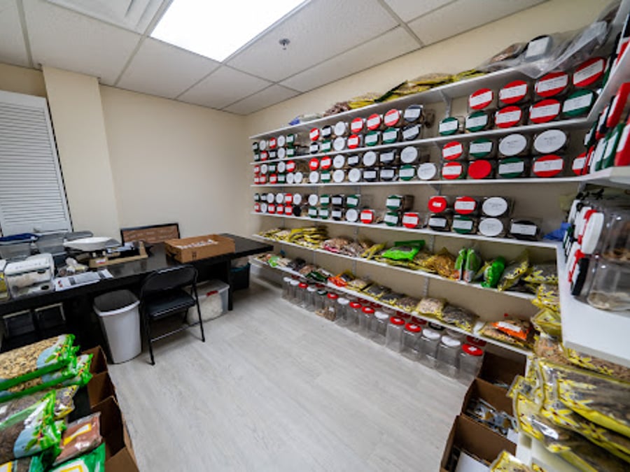 Evergreen Wellness Clinic
