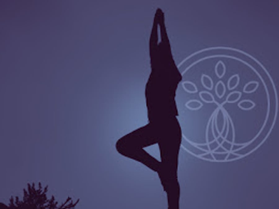 Rooted In Wellness