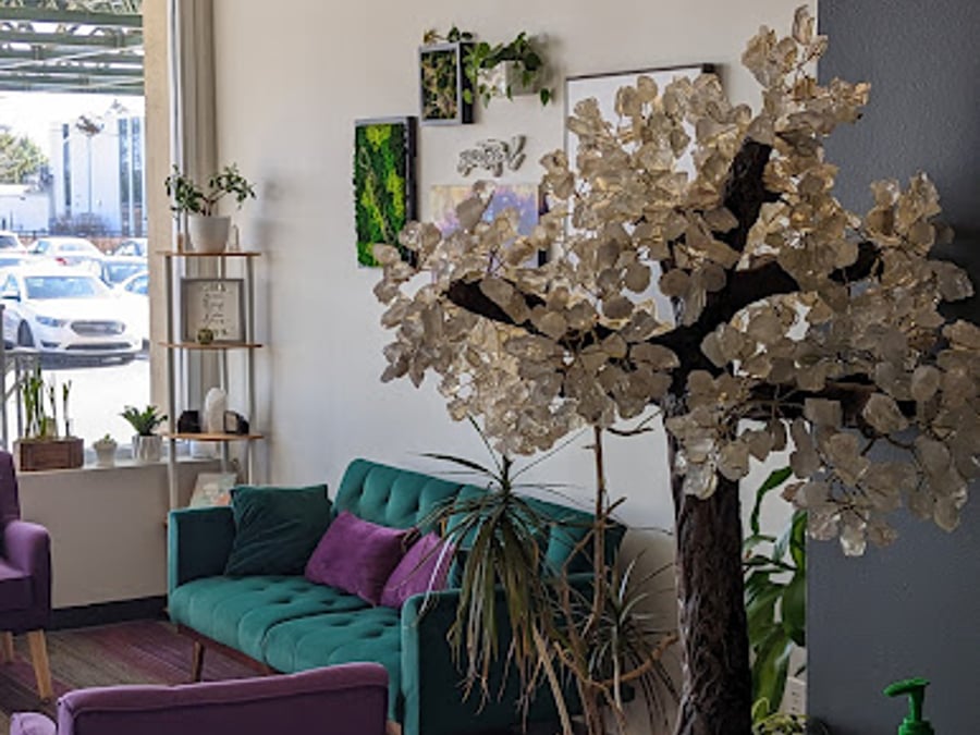 Collective Wellness and Spa
