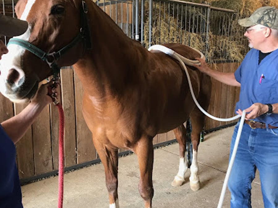 Integrative Veterinary Services of Missouri