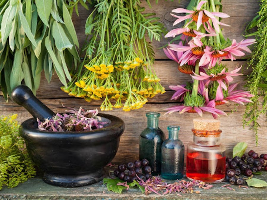 Cedar Natural Healthcare