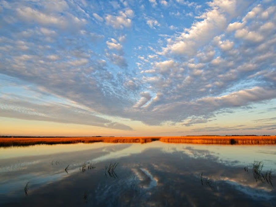 Vitality Acupuncture and Integrative Medicine