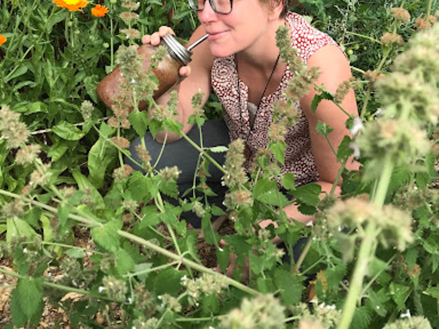 Herbs & Hands Craniosacral Therapy