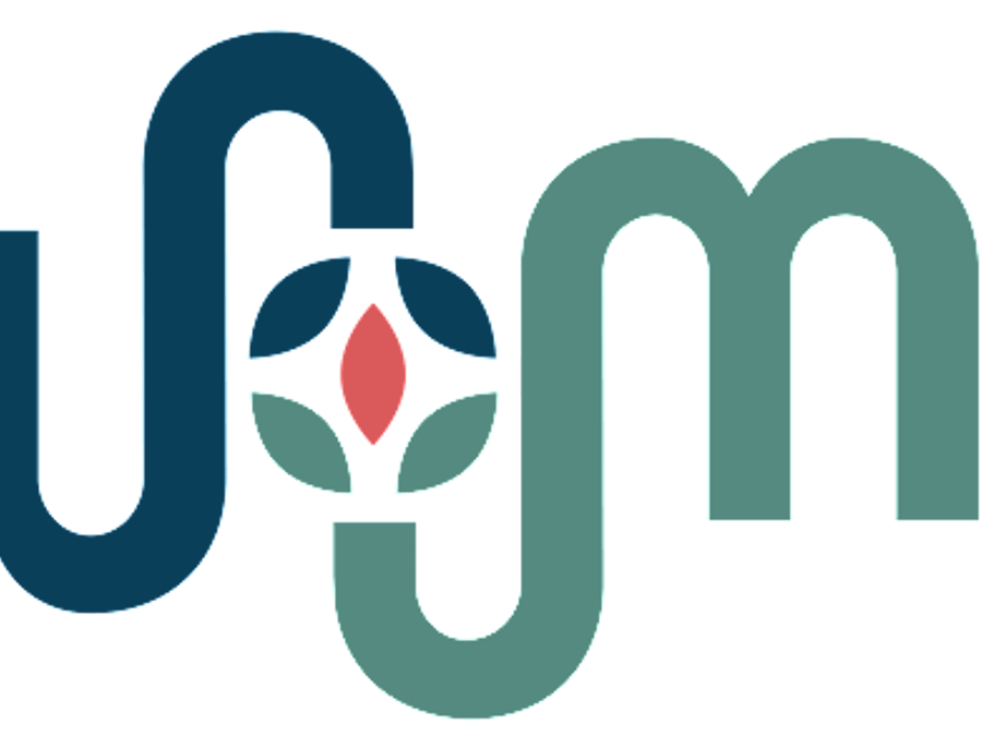 Willow Medical LLC