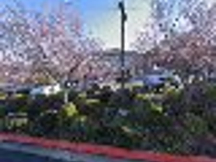 Roseville Weight Loss Clinic