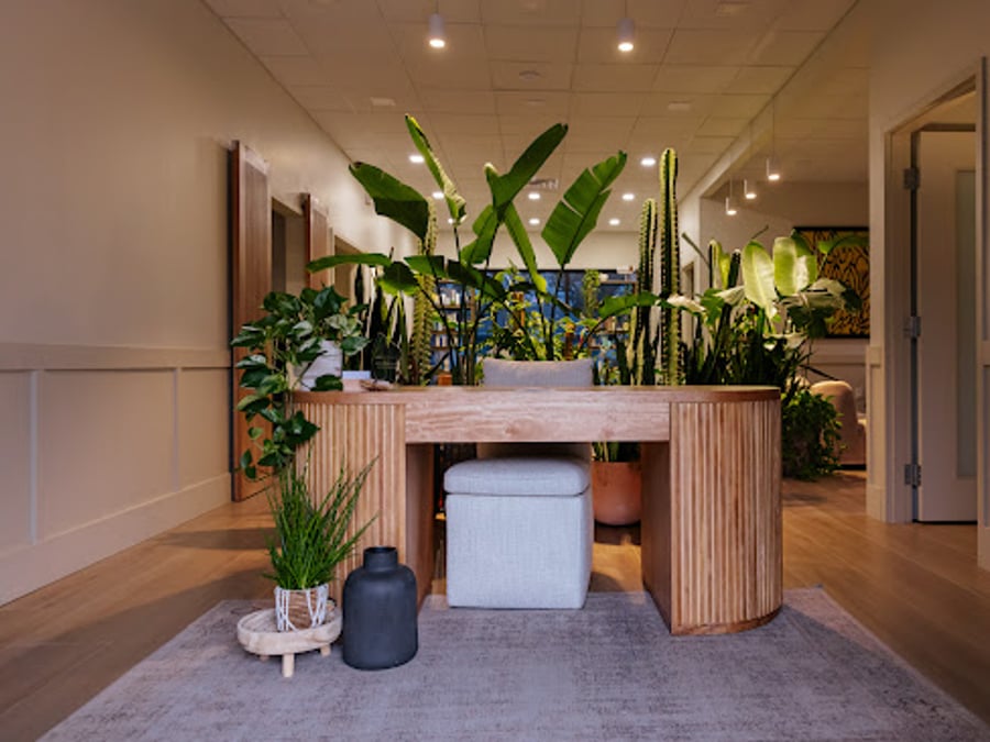 The Wellness Club