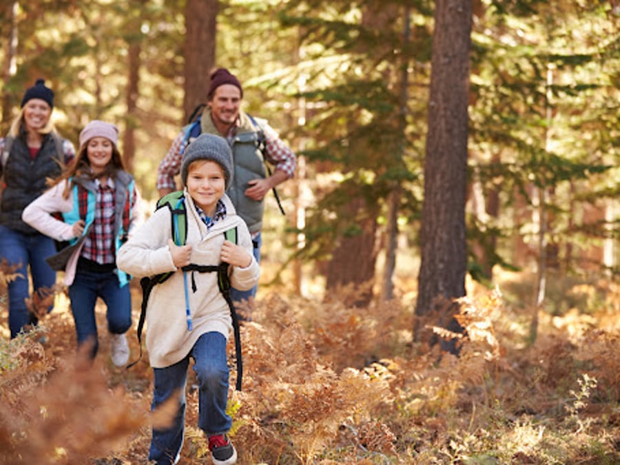Pease Integrative Medicine | Dr. Elisa B. Pease
