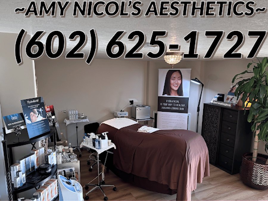 Amy Nicol's Aesthetics