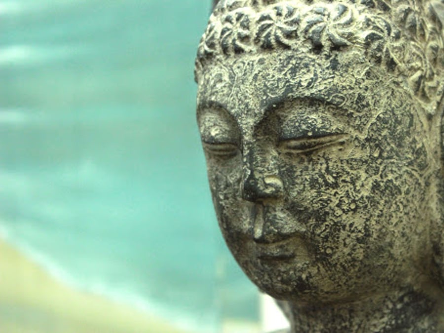 Lotus Integrative Medicine