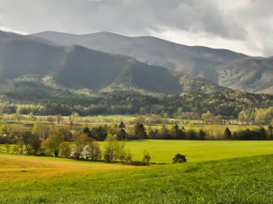 Foothills Weight Loss Surgeons