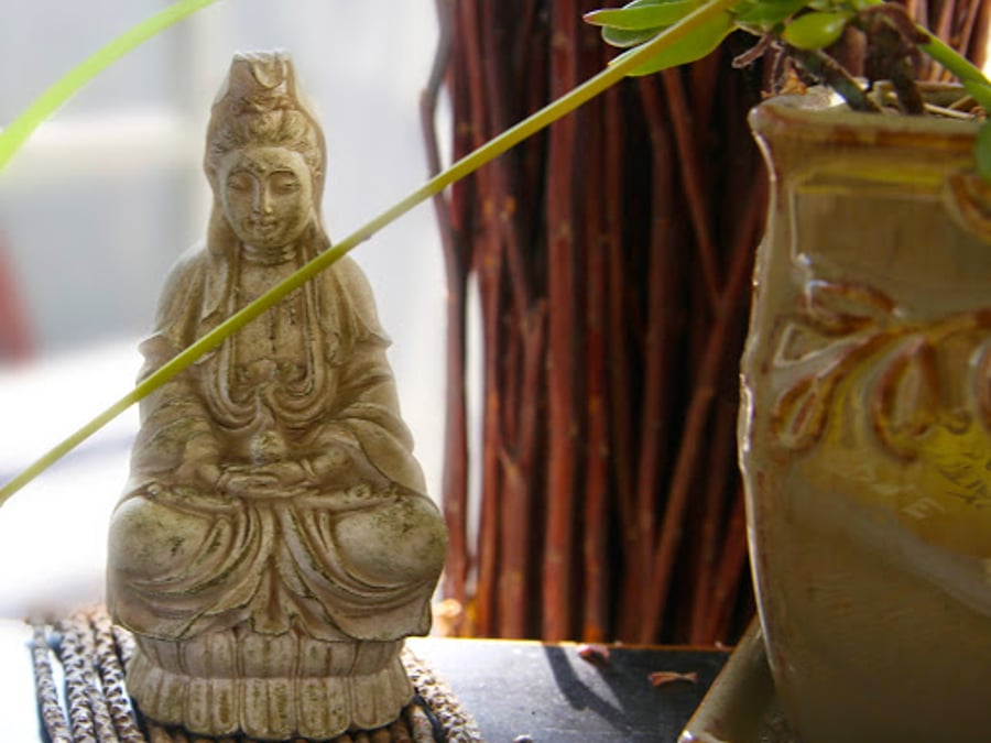 Blue Lotus Center For Health