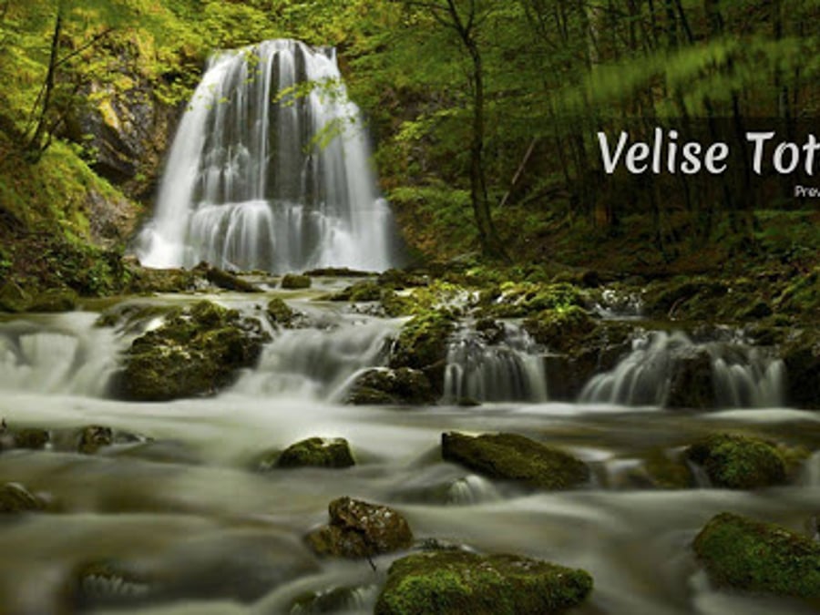 Velise Total Health