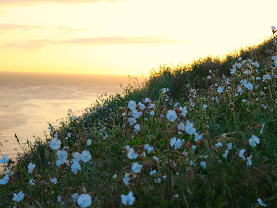 TRUEcare Integrative Medicine